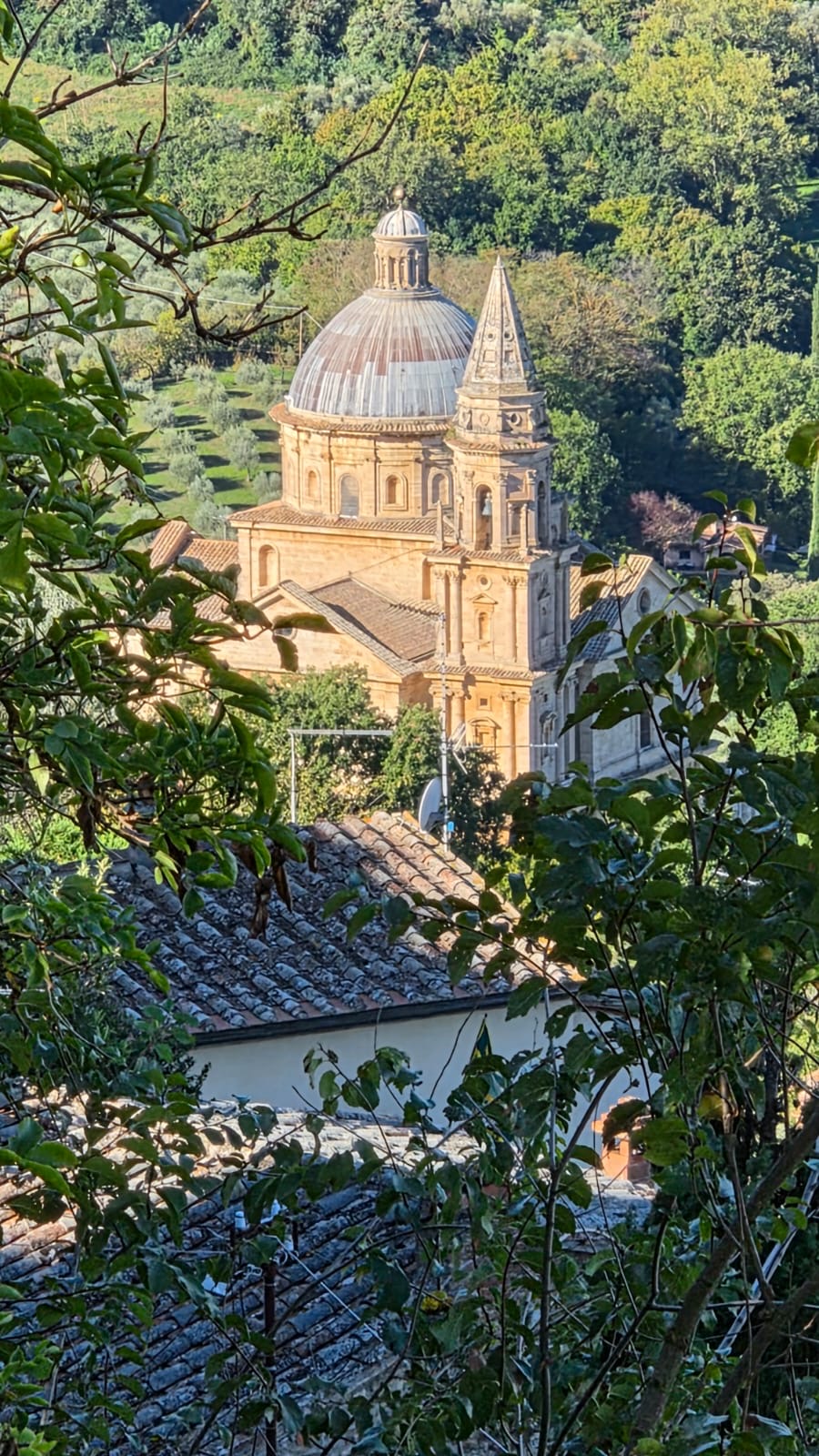 Vino Nobile