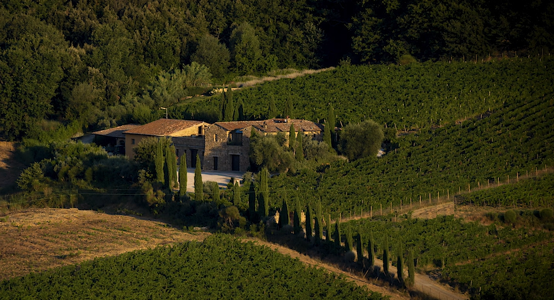 Brunello