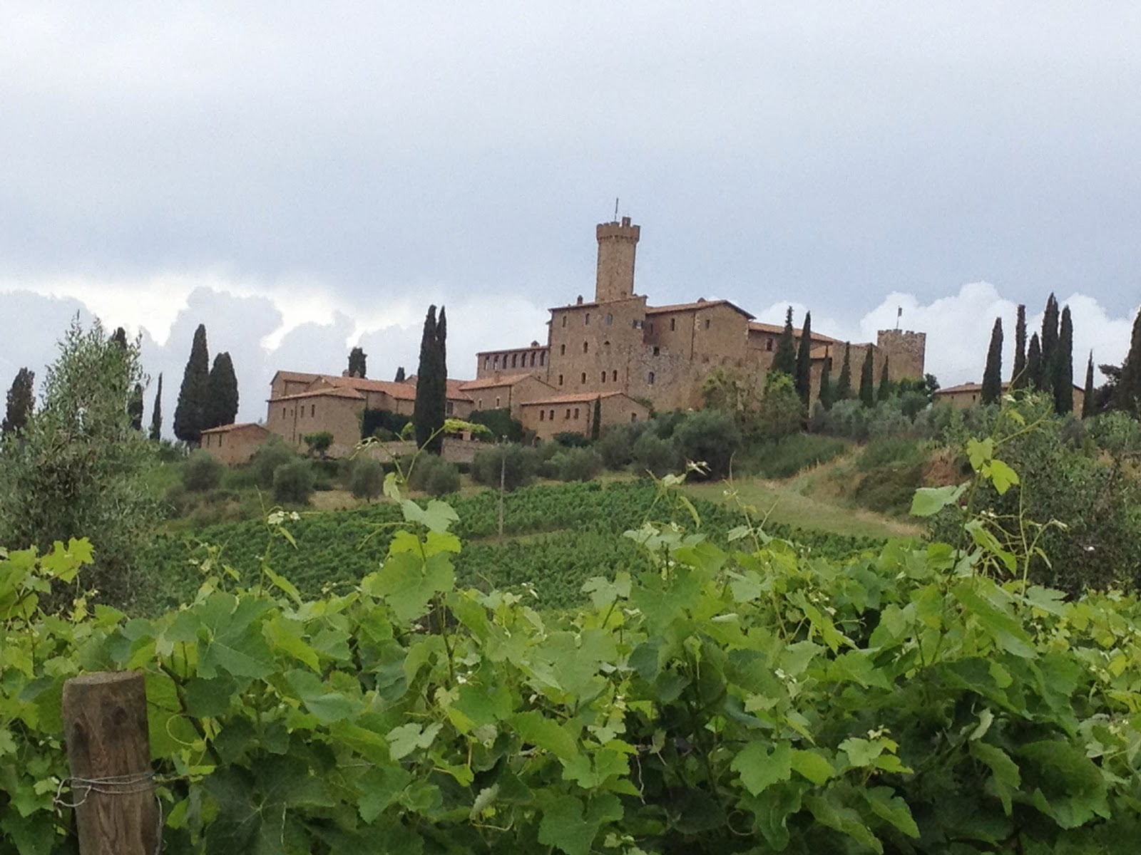 Castello Banfi castle in Montalcino, Tuscany, Italy, viewed from the vineyards