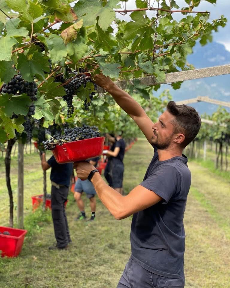 Harvest2022