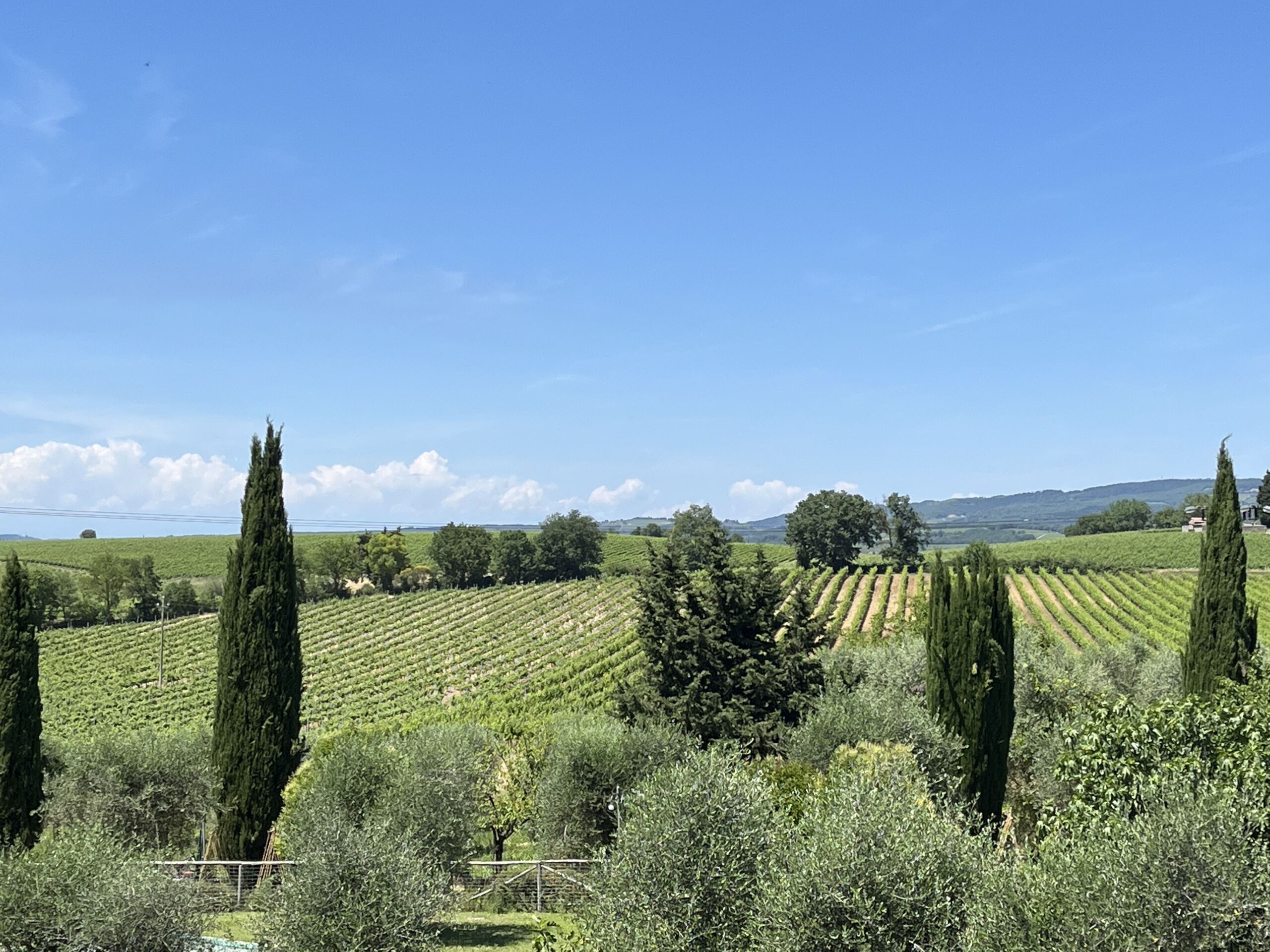 Tuscan Snips