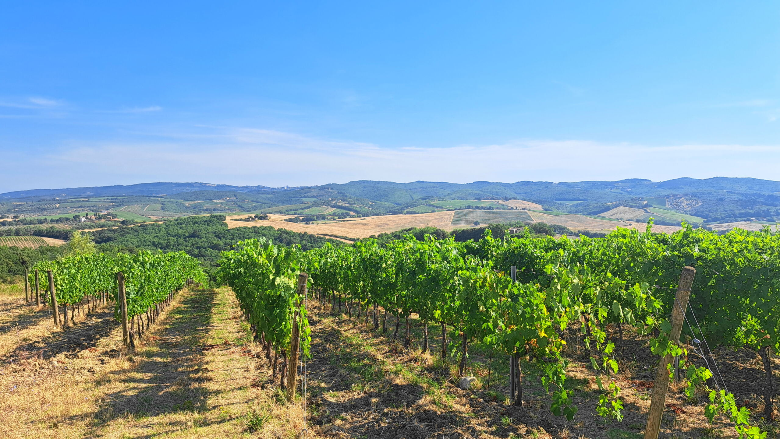 Harvest Report 2026